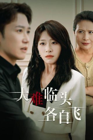 《蜂蜜之地》影评主要内容怎么写的呢三年级