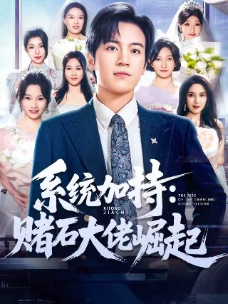 旋风少女第一季免费观看全集微信