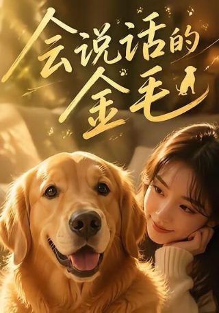 隧道计算软件