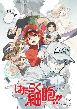 神奇宝贝第四季免费腾讯视频