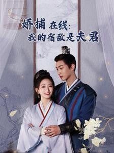 《我的傻娘》全集免费观看电视剧高清