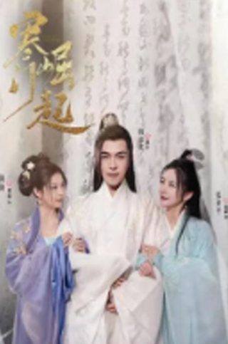 丑女医妃第三集免费观看全集视频