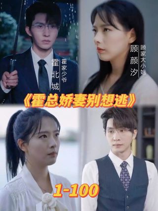 恋爱潜伏电视剧在线看完整
