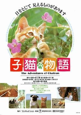 《择天记》结局解读大全视频