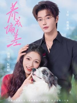 沙尘暴40集完整版免费观看