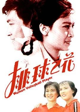 不能说的秘密歌曲推荐理由
