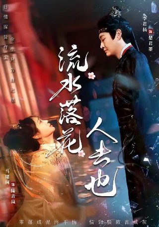 电影《少林寺弟子》免费播放视频