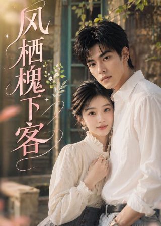 小马宝莉第33集在线观看免费