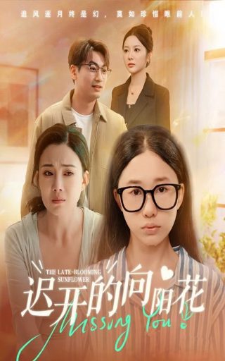 特洛伊1080pREMUX百度网盘