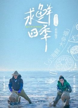 心尖意1100合集完整版免费