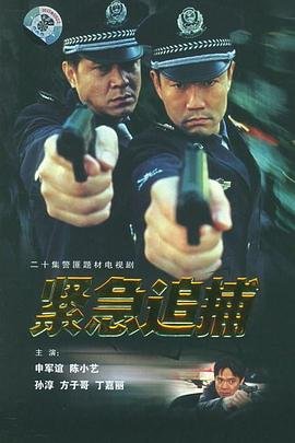 许我耀眼20集电视剧免费观看