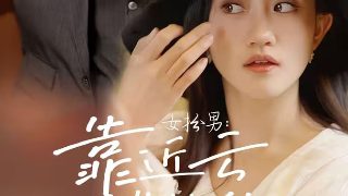 《葵花进城》电视剧28集免费观看