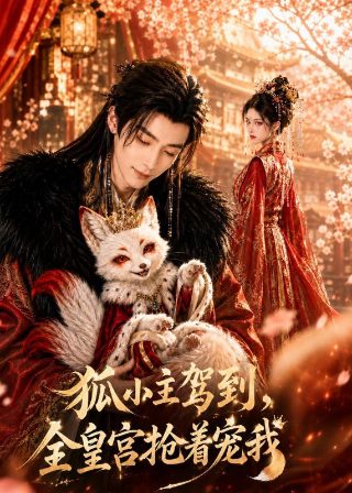 北京影视频道节目表2024年11月