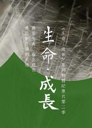 战争之王2游戏怎么玩