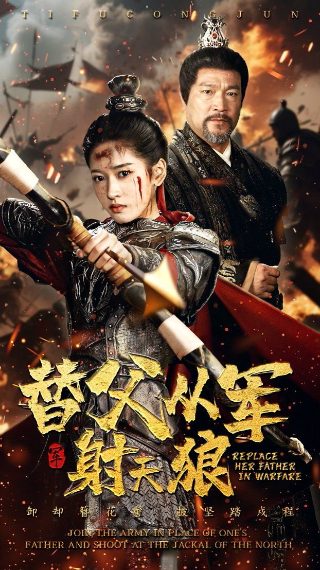 我的功夫女友电视剧剧情分集介绍
