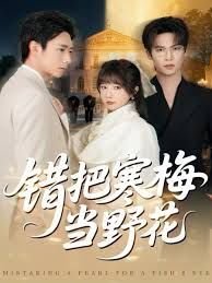 电视连续剧孽债全集