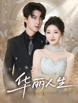 我的团长我的团在线观看