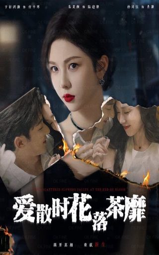 解放大西南20集5播放