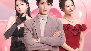 公主小妹2剧情介绍全集免费观看