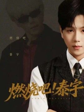 阿里巴巴大盗是什么意思