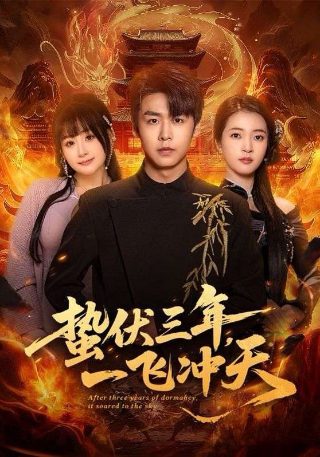 超级飞侠第九季 爱奇艺在线观看免费