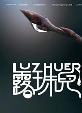 最美的时光全集播放在线观看高清