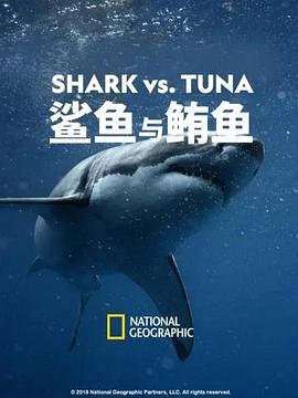 拳皇命运国语版百度云资源链接