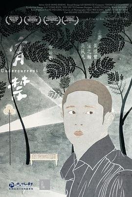 吉祥如意过大年手抄报