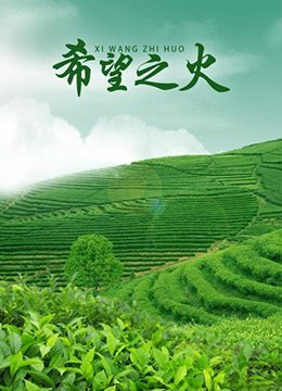 迦南智能