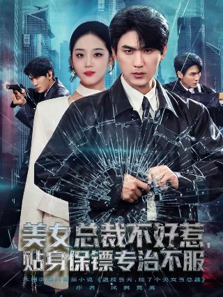 电视连续剧天泪传奇之凤凰无双全集免费观看