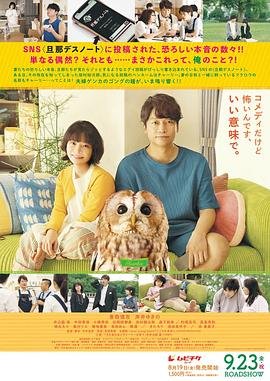 铁甲人第十二集在线观看免费