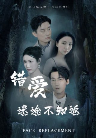 波牛国语免费观看