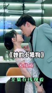 新白娘子传奇免费观看完整版电视剧未删减版