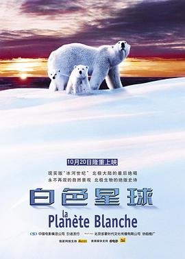 建筑承包商英文