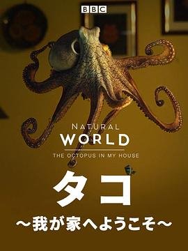 僵尸家族豆瓣评分高吗