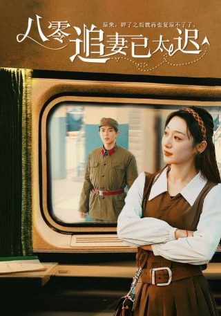 武工队传奇14集在线观看免费