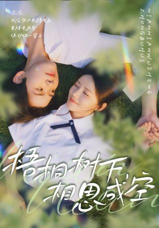 蜡笔小新2百度网盘下载资源