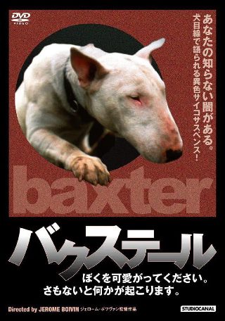 2021门徒电影简介