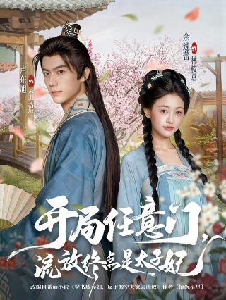 看得见的女孩一共多少集电视剧啊