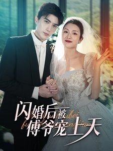 神枪30集连续剧