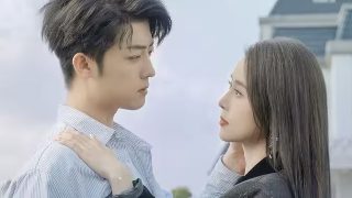 电视剧《征服》大结局视频在线观看免费高清下载