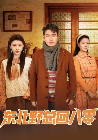 这是电影硬核亨利英文怎么说呢
