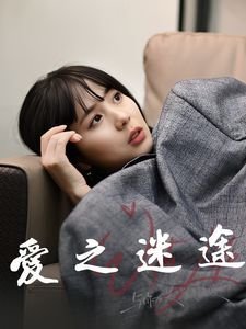 五亿探长雷洛百度网盘下载