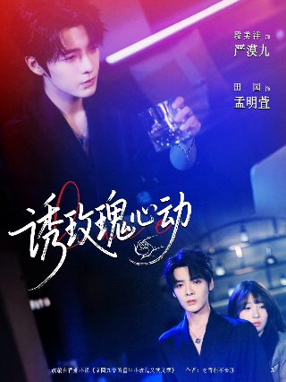 雾锁青松终见月全集哪里看