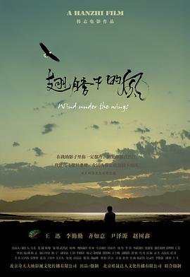 史上最强太子爷14集免费观看全集