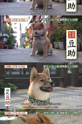 手术直播间漫画免费下拉