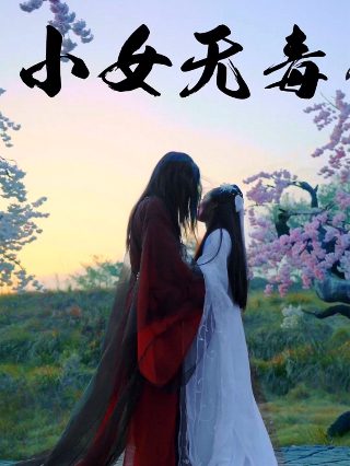 恋爱中的女人2011第一季免费观看全集