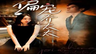 妻子的骗局演员表介绍