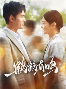 特殊行动电视剧大结局是什么样的