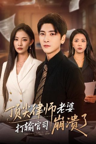 甄嬛传导演剪辑版